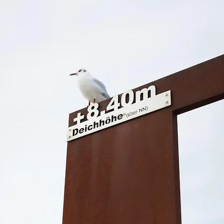 Daire Binnendiek Haus 4 Comfort-apartment 4